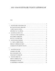 2025-2030時尚零售業(yè)數(shù)字化轉(zhuǎn)型與消費群體分析