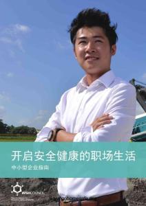 新加坡：中小型企業安全指南ZHW