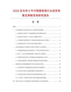 2025及未來5年中國插筆架行業(yè)投資前景及策略咨詢研究報告