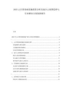 2025云計(jì)算基礎(chǔ)設(shè)施投資分析及混合云部署趨勢(shì)與行業(yè)解決方案創(chuàng)新報(bào)告
