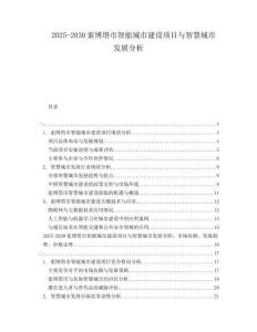 2025-2030索博塔市智能城市建設(shè)項目與智慧城市發(fā)展分析