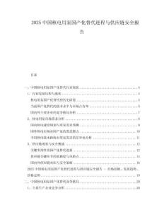 2025中國核電用泵國產化替代進程與供應鏈安全報告