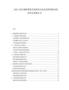 2025-2030鋼鐵期貨市場供需關(guān)系及投資策略深度研究分析報告書