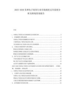 2025-2030非洲電子商務(wù)行業(yè)市場(chǎng)現(xiàn)狀支付系統(tǒng)分析及跨境貿(mào)易報(bào)告