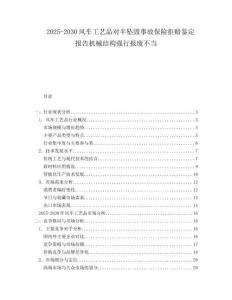2025-2030風(fēng)車工藝品對半墜毀事故保險拒賠鑒定報告機械結(jié)構(gòu)強行報廢不當(dāng)
