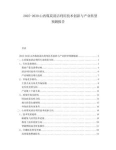 2025-2030山西煤炭清潔利用技術(shù)創(chuàng)新與產(chǎn)業(yè)轉(zhuǎn)型預(yù)測(cè)報(bào)告
