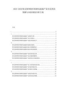 2025-2030特克斯和凱科斯群島能源產(chǎn)業(yè)市況供給預(yù)測(cè)與風(fēng)險(xiǎn)規(guī)劃分析方案