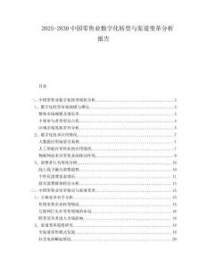 2025-2030中國零售業(yè)數(shù)字化轉(zhuǎn)型與渠道變革分析報告