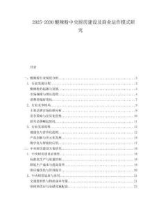 2025-2030酸辣粉中央廚房建設(shè)及商業(yè)運(yùn)作模式研究