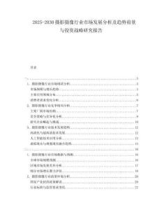 2025-2030攝影攝像行業(yè)市場發(fā)展分析及趨勢前景與投資戰(zhàn)略研究報告