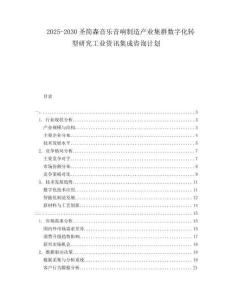 2025-2030圣簡森音樂音響制造產(chǎn)業(yè)集群數(shù)字化轉(zhuǎn)型研究工業(yè)資訊集成咨詢計(jì)劃
