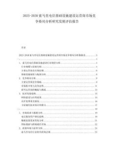 2025-2030索馬里電信基礎(chǔ)設(shè)施建設(shè)運(yùn)營商市場競爭格局分析研究發(fā)展評估報(bào)告