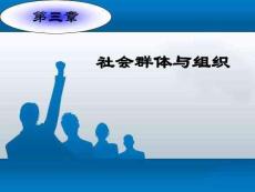 3：群体与组织