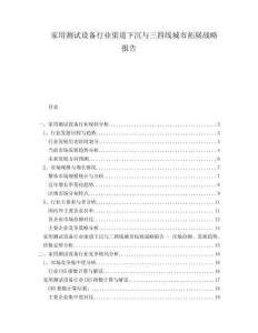 家用測試設(shè)備行業(yè)渠道下沉與三四線城市拓展戰(zhàn)略報(bào)告