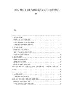2025-2030碳捕集與封存技術(shù)示范項目運行效果分析