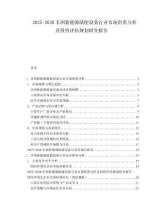 2025-2030非洲新能源儲(chǔ)能設(shè)備行業(yè)市場供需分析及投資評(píng)估規(guī)劃研究報(bào)告