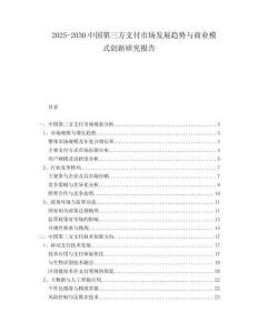 2025-2030中國第三方支付市場發(fā)展趨勢與商業(yè)模式創(chuàng)新研究報告