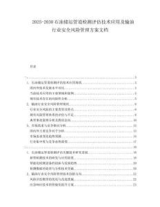 2025-2030石油儲運管道檢測評估技術應用及輸油行業安全風險管理方案文檔