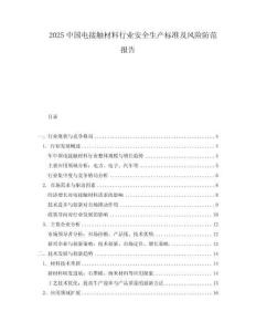 2025中國電接觸材料行業安全生產標準及風險防范報告