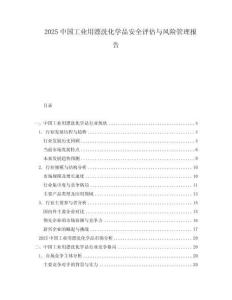 2025中國工業(yè)用漂洗化學品安全評估與風險管理報告