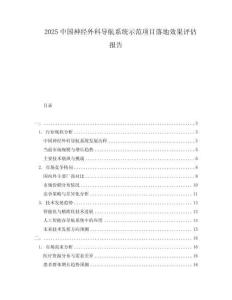 2025中国神经外科导航系统示范项目落地效果评估报告