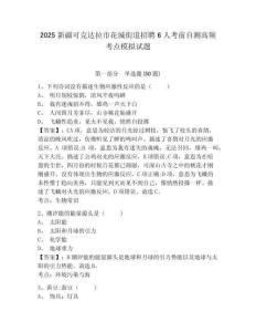 2025新疆可克達拉市花城街道招聘6人考前自測高頻考點模擬試題附答案詳解（典型題）