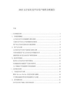2025元宇宙社交平臺用戶粘性分析報告