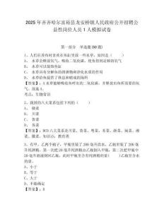 2025年齊齊哈爾富?？h龍安橋鎮(zhèn)人民政府公開招聘公益性崗位人員1人模擬試卷及一套答案詳解