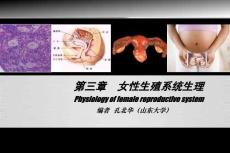 【婦產(chǎn)科學(xué)8版】031女性生殖系統(tǒng)生理