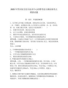 2025年黑河海關(guān)綜合技術(shù)中心招聘考前自測高頻考點(diǎn)模擬試題及參考答案詳解一套