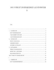 2025中國醫用氣體系統建設規范與安全管理研究報告