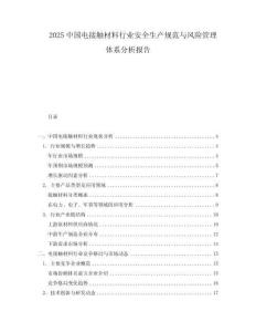 2025中國電接觸材料行業安全生產規范與風險管理體系分析報告