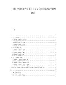 2025中國互聯(lián)網(wǎng)公益平臺基金會運營模式演變趨勢報告