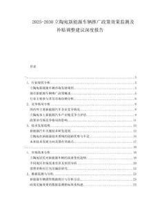 2025-2030立陶宛新能源車輛推廣政策效果監(jiān)測(cè)及補(bǔ)貼調(diào)整建議深度報(bào)告