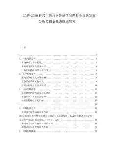 2025-2030科興生物埃克替尼仿制藥行業(yè)現(xiàn)狀發(fā)展分析及投資機(jī)遇規(guī)劃研究