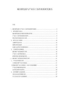 城市群發(fā)展與產(chǎn)業(yè)分工協(xié)作機(jī)制研究報(bào)告