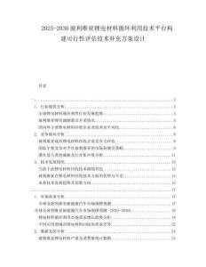 2025-2030玻利維亞鋰電材料循環(huán)利用技術(shù)平臺構(gòu)建可行性評估技術(shù)補(bǔ)充方案設(shè)計