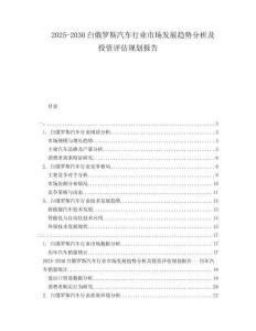 2025-2030白俄羅斯汽車行業(yè)市場發(fā)展趨勢分析及投資評估規(guī)劃報告
