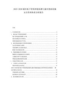 2025-2030城市地下管線智能監(jiān)測與城市基礎(chǔ)設(shè)施安全管理體系分析報告