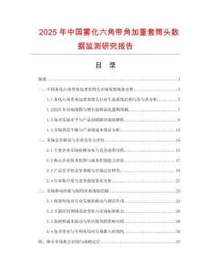 2025年中國霧化六角帶角加重套筒頭數(shù)據(jù)監(jiān)測研究報告