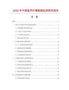 2025年中国盔甲护罩数据监测研究报告
