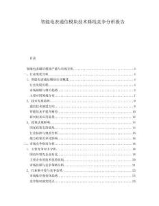 智能電表通信模塊技術(shù)路線競爭分析報告