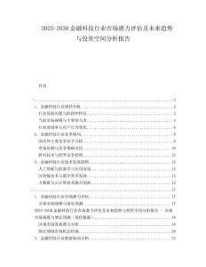 2025-2030金融科技行業(yè)市場(chǎng)潛力評(píng)估及未來(lái)趨勢(shì)與投資空間分析報(bào)告