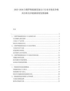 2025-2030白俄羅斯能源設(shè)備出口行業(yè)市場(chǎng)競(jìng)爭(zhēng)格局分析及多能源系統(tǒng)發(fā)展戰(zhàn)略