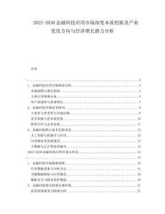 2025-2030金融科技應(yīng)用市場(chǎng)深度本質(zhì)挖掘及產(chǎn)業(yè)優(yōu)化方向與經(jīng)濟(jì)增長(zhǎng)潛力分析