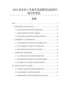2025及未來5年高丕母排管項(xiàng)目投資價(jià)值分析報(bào)告