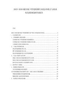 2025-2030城市地下管道檢測行業(yè)技術(shù)難點(diǎn)與商業(yè)化發(fā)展規(guī)劃研究報告