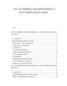 2025-2030玻璃陶瓷行業(yè)耐高溫特種玻璃制造與工業(yè)窯爐節(jié)能降耗技術(shù)促進(jìn)方案建議