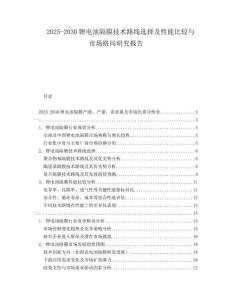 2025-2030鋰電池隔膜技術路線選擇及性能比較與市場格局研究報告