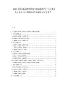 2025-2030冰島地熱能發(fā)電高高溫蒸汽轉化業(yè)市場現狀供需分析及投資評估規(guī)劃分析研究報告